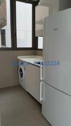 Skyline Residences (D4), Condominium #91075722